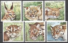 Catlike lince laos usato  Spedire a Italy