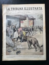 Jitsu calcio pisa usato  Italia