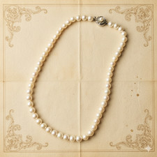 Akoya perlenkette echte gebraucht kaufen Akoya perlenkette echte gebraucht kaufen  Ludwigshafen am Rhein