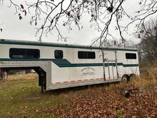 Horse trailer horse for sale  Laingsburg