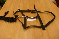 Head collar lead for sale  FORFAR