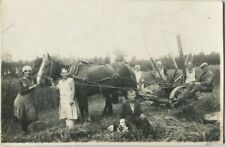 Cena de aldeia pessoas no campo com arado cavalo cachorro foto antiga de agricultura comprar usado  Enviando para Brazil