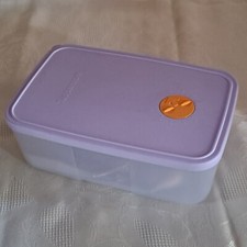 Tupperware eiszeit gefrierbeh� gebraucht kaufen  Inden