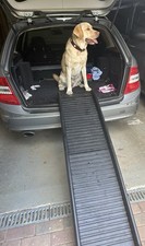 Bituxx hunderampe hundetreppe gebraucht kaufen  Wandlitz