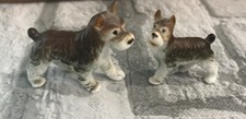 mini puppy schnauzer for sale mini puppy schnauzer for sale Brentwood