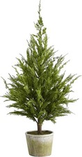 Nearly natural 3.5ft. for sale  San Francisco