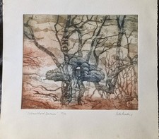 Wistman wood dartmoor for sale  GUNNISLAKE