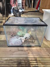 Complete aquarium starter for sale  WALLINGTON