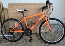 Bici bicicletta mtb usato  Porto Viro