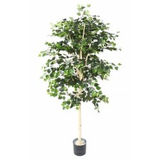 Bouleau artificiel pot d'occasion Bouleau artificiel pot d'occasion  France