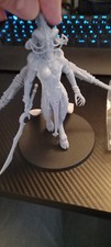 Gardien secrets slaanesh d'occasion  Sorède