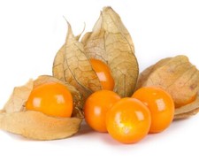 Organic golden berry for sale  San Jose