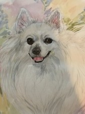 Pomeranian hand painted for sale  Nevada City