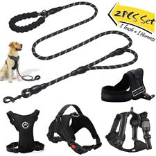 Pet dog puppy for sale  UK