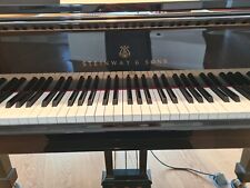 Steinway flügel selten gebraucht kaufen  Stuttgart