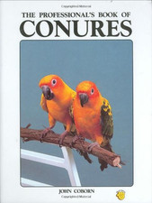 Professional book conures for sale  UK