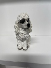 White poodle for sale  Salem