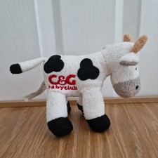 Black white cow for sale Black white cow for sale  ROCHESTER