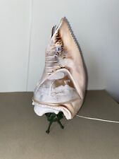 Antique conch shell for sale  FERNDOWN