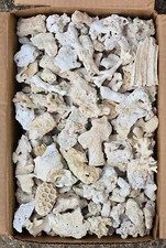 Coral rubble dry for sale  Cranford