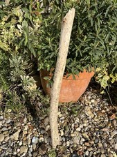 Long chunky driftwood for sale  CLACTON-ON-SEA