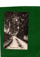 Cartão postal vintage vista ao longo Broom Hall Lane em Oswestry em Shropshire C.1920, usado comprar usado  Enviando para Brazil