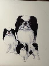 Japanese chin dog for sale  Robstown