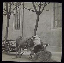 Lanterna mágica de vidro slide CARRINHO BADEN DATADO DE MARÇO DE 1911 SUÍÇA comprar usado  Enviando para Brazil