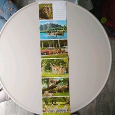 Longleat safari park for sale  ST. AUSTELL