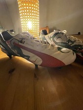 Puma evospeed 2015 gebraucht kaufen  Hamburg