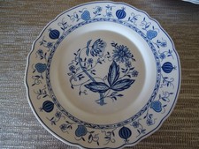 Arcopal speiseteller zwiebelmu gebraucht kaufen  Dettenheim