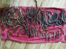 echthaar dreads gebraucht kaufen echthaar dreads gebraucht kaufen Wismar-Umland