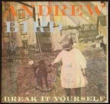 Andrew bird break for sale  New Haven