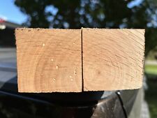 Two american chestnut for sale  Baden