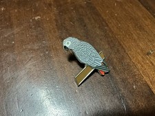 New african grey for sale  DONCASTER
