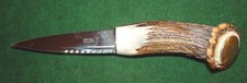 Beautiful scottish stag for sale Beautiful scottish stag for sale  Cordova