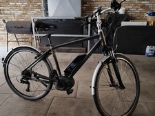 Raleigh captus large for sale  LONDON