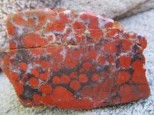 Red poppy jasper for sale  San Jose