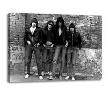 Ramones bb1 canvas for sale  MANCHESTER