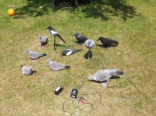 pigeon hide poles for sale pigeon hide poles for sale DOVER