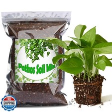 Doter organic pothos for sale  San Jose