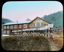 Lipton tea factory for sale  HAYLE