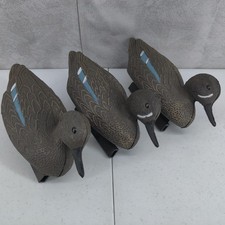 Flambeau blue winged for sale  La Feria