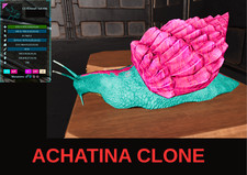 Achatina clone arca usato  Spedire a Italy