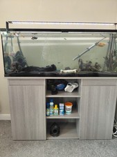 184l fish tank for sale  WORKSOP