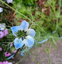 little miss always cold for sale little miss always cold for sale PAIGNTON