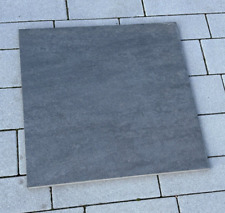 Pastorelli 60x60x2 quarzdesign gebraucht kaufen  Münster