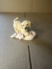 Leonardo collection labrador for sale  BANGOR