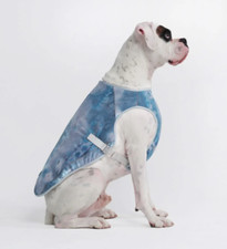 Spark paws dog for sale  Goodyear