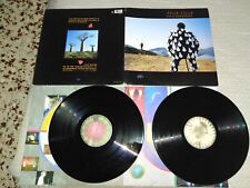 Pink floyd delicate usato  Camaiore